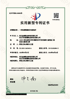 一种祛痘微晶贴及祛痘组件