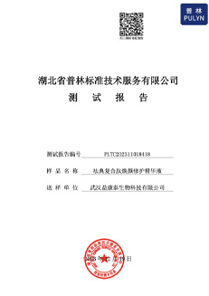 测试报告